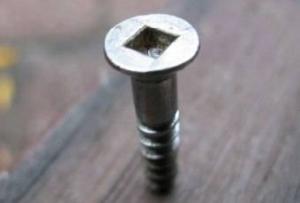 bolt