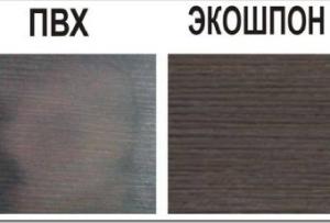 ПВХ двери &ndash; универсальность и экономность