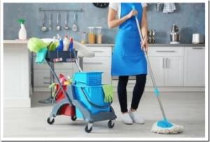 Как привлечь специалиста по клинингу через сервис Elmy?