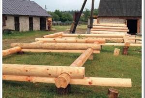 По каким критериям стоит выбирать дерево для бани?