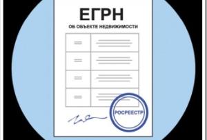Ситуации, при которых выписка из ЕГРН является необходимостью